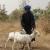 Africa
